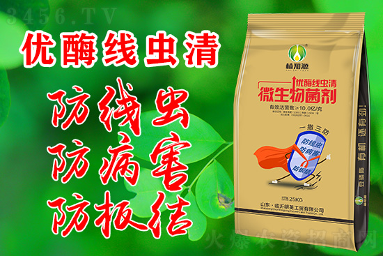 惱人的根結線蟲怎么治?優酶線蟲清來支招! 惱人的根結線蟲怎么治?優酶線蟲清來支招!