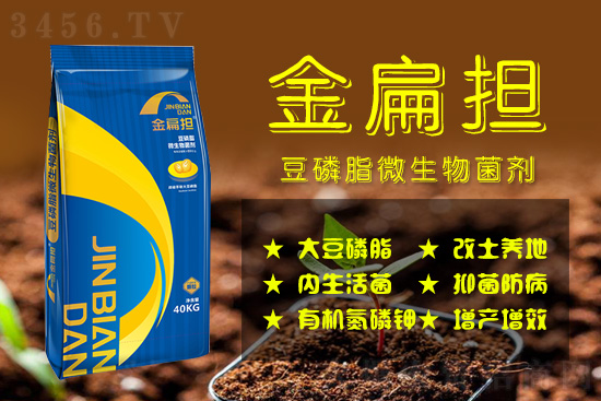 微生物菌劑,讓土壤“活”起來!改土養地、抑菌防病、增產增效! 微生物菌劑,讓土壤“活”起來!改土養地、抑菌防病、增產增效!