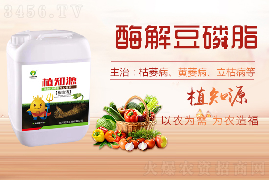 根腐病的發病原因是什么?用什么藥防治效果好? 根腐病的發病原因是什么?用什么藥防治效果好?