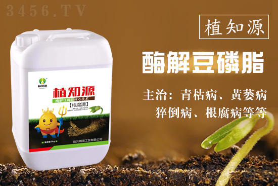根腐病的發病原因是什么?用什么藥防治效果好? 根腐病的發病原因是什么?用什么藥防治效果好?