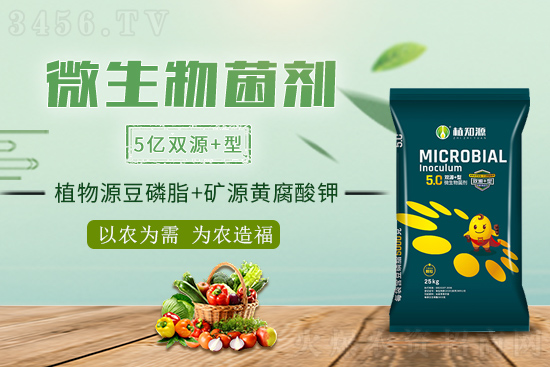 微生物菌劑到底好在哪？為什么能解決施肥不增產(chǎn)難題？